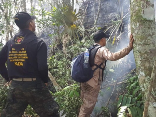 Las primeras imágenes del incendio forestal en la montaña Pico Bonito