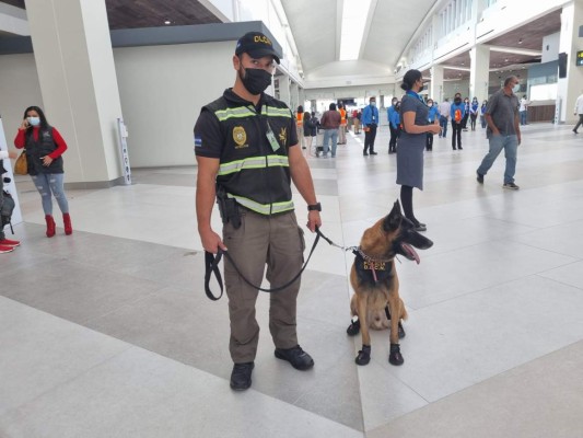 Expectación y algarabía: así fue la llegada del primer vuelo al aeropuerto de Palmerola