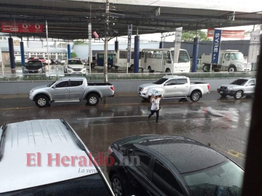 FOTOS: Fuertes lluvias alegran a capitalinos ante prologanda sequía