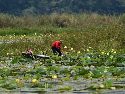 Montañas y lagos: destinos favoritos de los hondureños para olvidar pandemia (FOTOS)