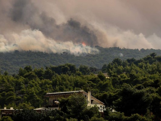 Las impresionantes fotos de los incendios en Grecia que ya dejan más de 70 muertos