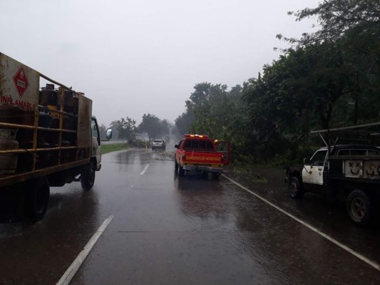 Caos e inundaciones dejan fuertes lluvias y frente frío en el norte de Honduras