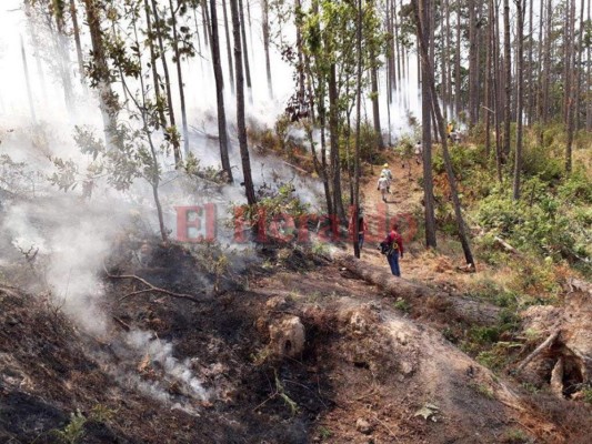 Imágenes del letal incendio que consumió el bosque en El Hatillo