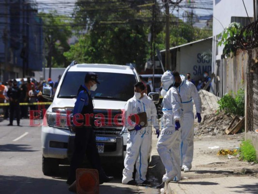 Cuatro masacres y múltiples capturas: los sucesos de la semana en Honduras  