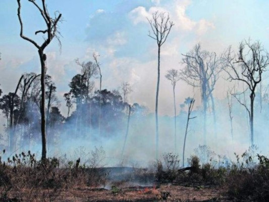 FOTOS: Estos son los 10 desastres que golpearon al mundo en 2019  