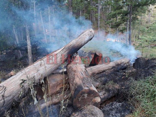 Imágenes del letal incendio que consumió el bosque en El Hatillo