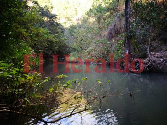 FOTOS: La ruta del viento, tres municipios para recorrer en familia en Francisco Morazán