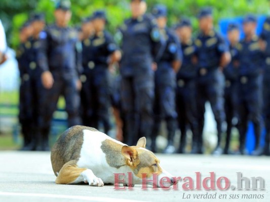 FOTOS: Así es un día en la formación de los agentes penitenciarios