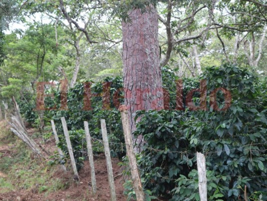 FOTOS: San Jerónimo, el municipio que alberga una laguna misteriosa