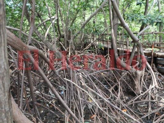 FOTOS: Sol y arena, así lucen las mejores playas del sur de Honduras