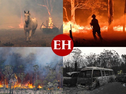 FOTOS: Personas bloqueadas en playas de Australia por incendios; van ocho muertos  