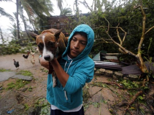 Rescate de animales: ¡Ellos también fueron salvados de la furia de Eta!