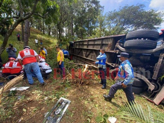 Masacres, dantescos crímenes y accidentes: resumen semanal de sucesos en Honduras  