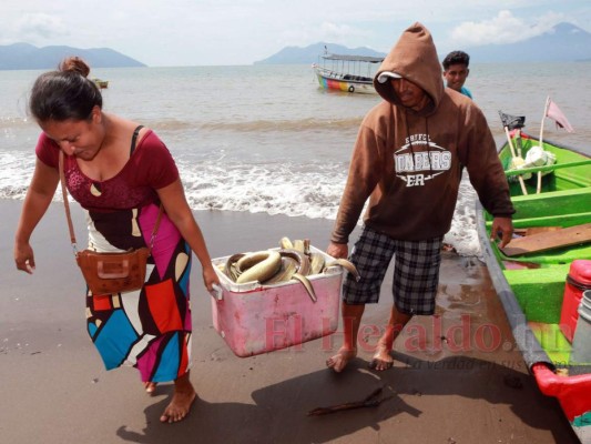 Entre el acoso de otros países y el olvido de Honduras: así trabajan los pescadores del Golfo de Fonseca