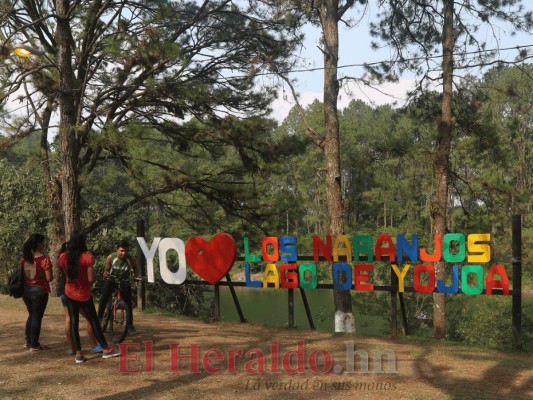 FOTOS: Senderos, kayak y vivero, los atractivos que ofrece el Parque Los Naranjos