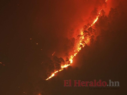 FOTOS: La capital se viste de gris por el humo que dejan los incendios forestales