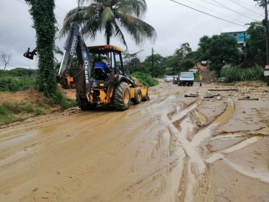 Fuertes lluvias dejan aludes, inundaciones y caídas de árboles en distintos sectores del país