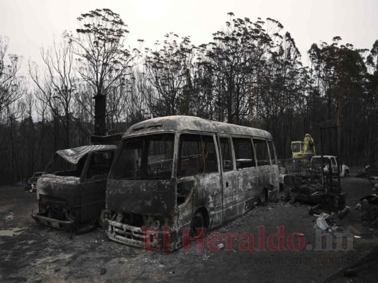 FOTOS: Personas bloqueadas en playas de Australia por incendios; van ocho muertos  