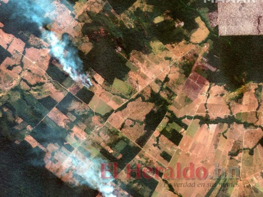 FOTOS: Ocho datos que debes saber sobre los incendios en la Amazonia