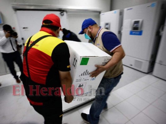 Honduras: Así fue la recepción de las 42,120 dosis de vacunas Pfizer (FOTOS)