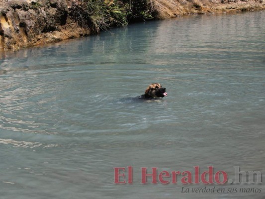 Así es el espectacular y único río azul de Nueva Armenia (FOTOS)