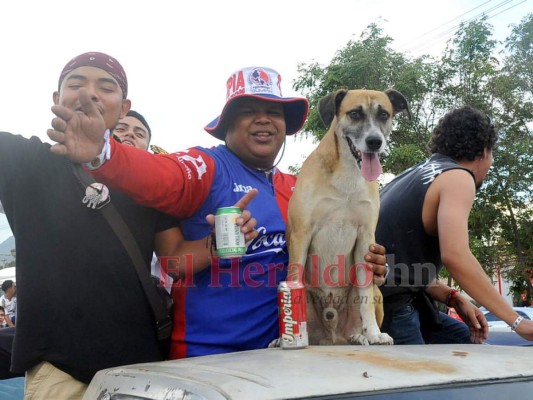 FOTOS: Así fue la mega caravana que realizaron los aficionados merengues por los 109 años de Olimpia   