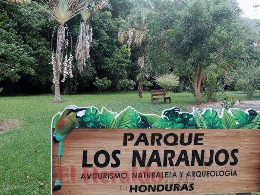 FOTOS: Senderos, kayak y vivero, los atractivos que ofrece el Parque Los Naranjos