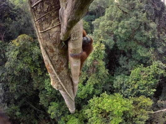 National Geographic eligió las fotografías más espectaculares del 2016