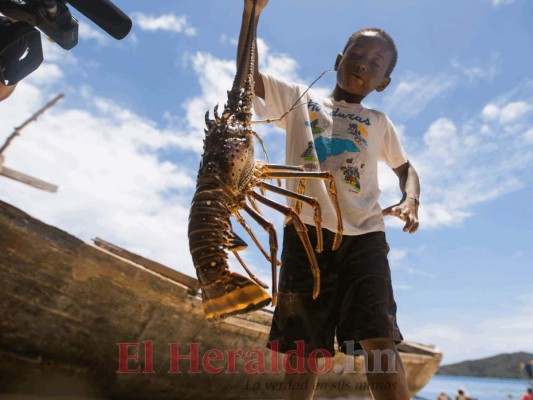 Cayos Cochinos, el tesoro marino de la costa atlántica de Honduras