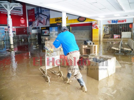 FOTOS: Así avanza la limpieza del aeropuerto de San Pedro Sula