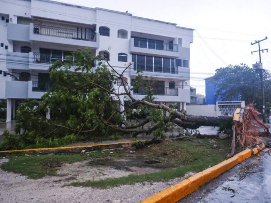 Árboles caídos, negocios destruidos y calles sin acceso: el impacto del huracán Delta