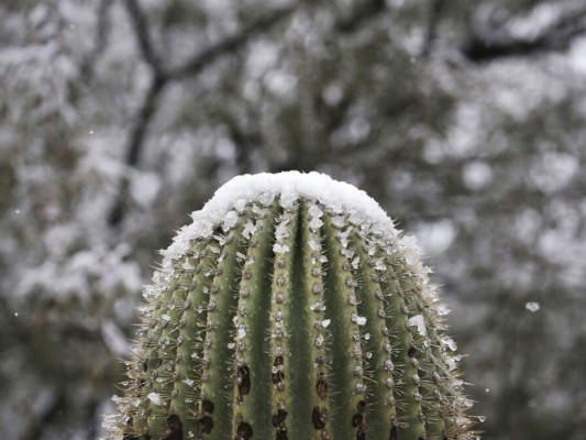 Cae nieve en Las Vegas por primera vez en una década