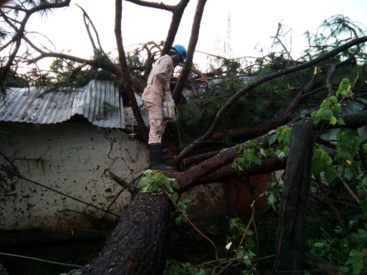 Fotos: Fuertes lluvias azotaron calles y avenidas de la capital de Honduras