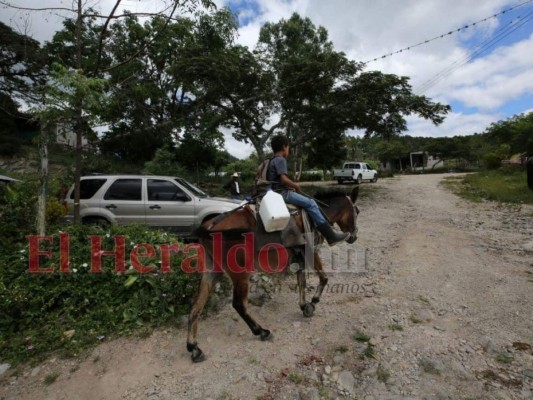 EL HERALDO visitó la aldea San Luis, zona del crimen de Francisco Gaitán (FOTOS)