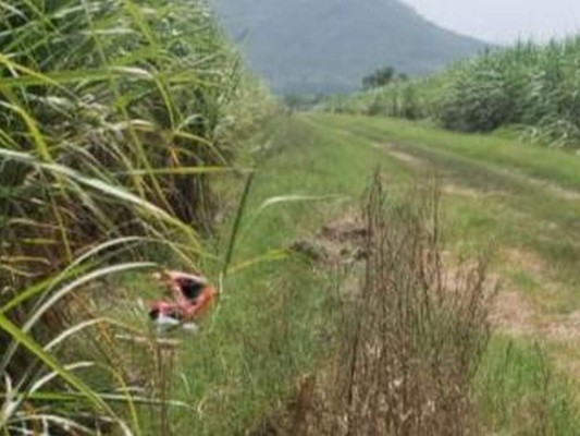 Muertes en accidentes, masacres y capturas reportó Honduras esta semana