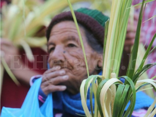 Honduras recibe la Semana Santa con miles de ramos en Tegucigalpa