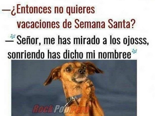 Semana Santa: Los memes más divertidos previo al feriado