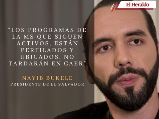 Las frases más polémicas de Bukele contra las maras y pandillas de El Salvador