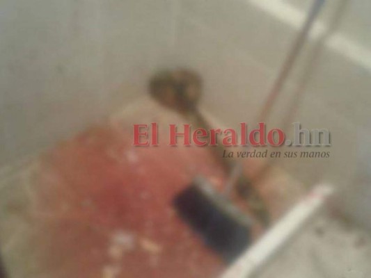 FOTOS: Escalofriante escena del crimen donde desmembraron a una mujer