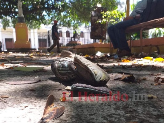 Abandonado y lleno de basura, así está el parque La Libertad de Comayagüela