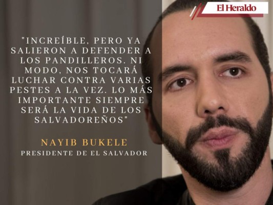 Las frases más polémicas de Bukele contra las maras y pandillas de El Salvador