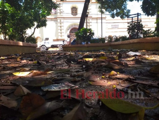 Abandonado y lleno de basura, así está el parque La Libertad de Comayagüela