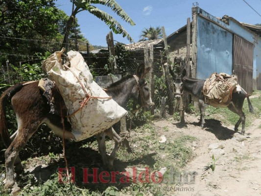 FOTOS: Güinope, un municipio con aroma colonial