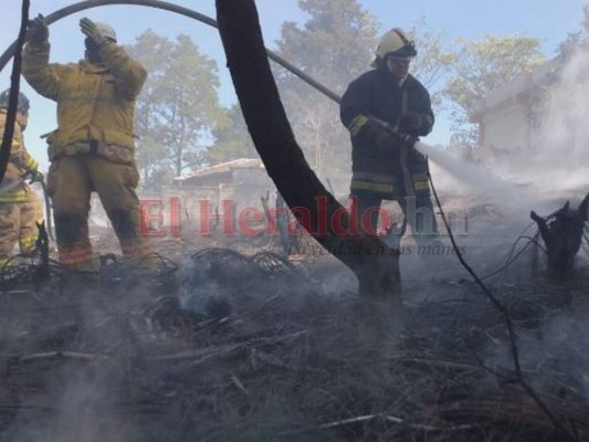 Columnas de humo tóxico y escombros, las imágenes del incendio en Las Tapias