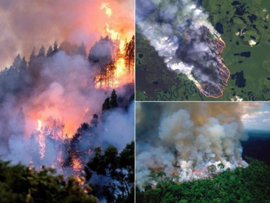 Así luce la Amazonia, el pulmón del mundo devorado por un incendio