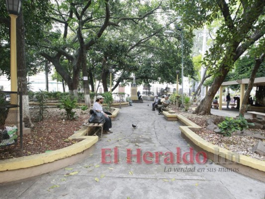 Abandonado y lleno de basura, así está el parque La Libertad de Comayagüela