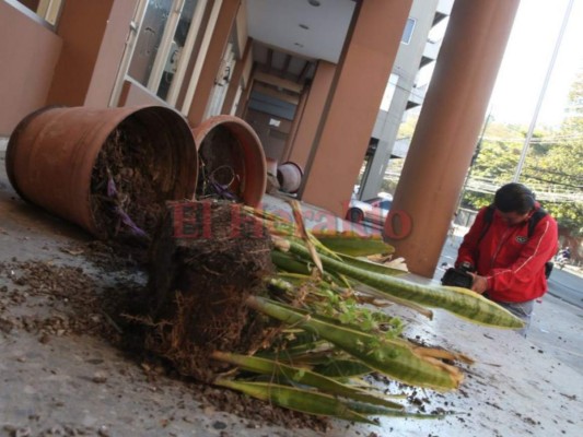 Grupo de vándalos dejan destrozos en las instalaciones del Ministerio Público