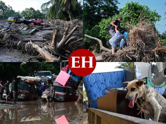 Evacuación de pobladores de El Progreso, Yoro, ante amenaza de Iota (Fotos)