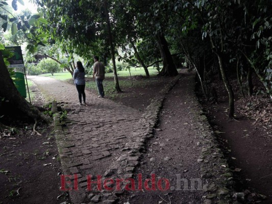 FOTOS: Senderos, kayak y vivero, los atractivos que ofrece el Parque Los Naranjos