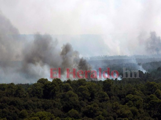 FOTOS: Ocho datos que debes saber sobre los incendios en la Amazonia